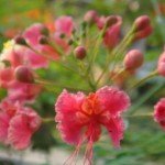 dsc07561