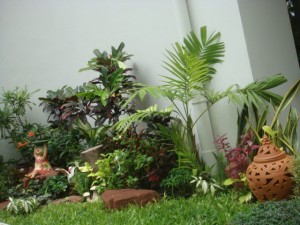 dsc09480