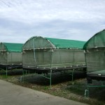 picture-006