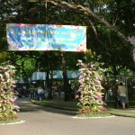 picture-046