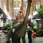 picture-027