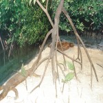 dsc06082