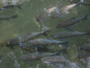 img_1532