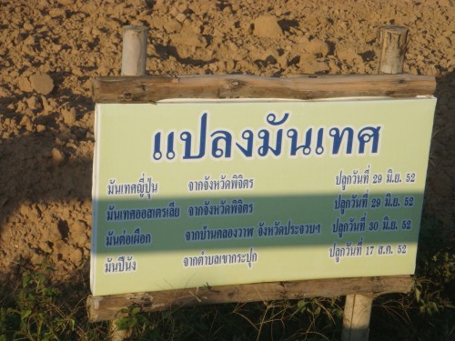 dsc01217