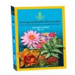 สารานุกรมไทยสำหรับเยาวชนฯ ฉบับเสริมความรู้ เล่ม ๑๓