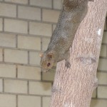 dscf28531