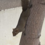 dscf2855