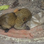 dscf2859