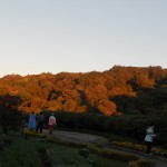 dscn14752