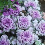 dscn1512