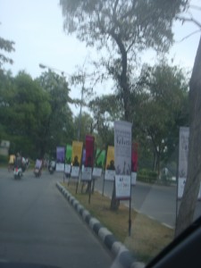 picture-005