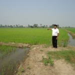 dsc00009-1