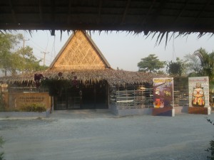 picture-009