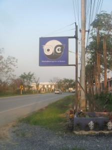 picture-011