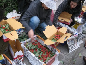 สตรอเบอร์รี่ ซื้อขายกันข้างโรงแรมที่พัก