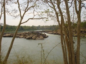 dsc014151