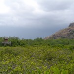 dsc00182