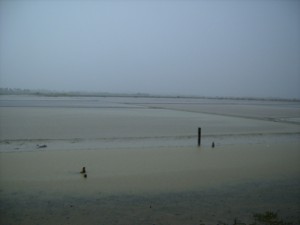 p7130015