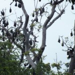 dscf7185_resize