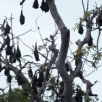 dscf7186_resize