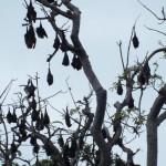 dscf7187_resize