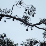 dscf7199_resize