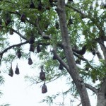 dscf7205_resize