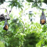 dscf7210_resize