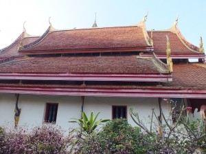 DSCF6145