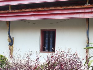 DSCF6146