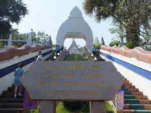DSCF6781