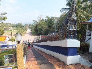DSCF6821