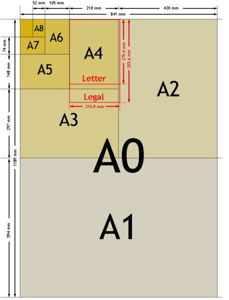 1190646557