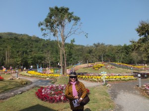 DSCF7580