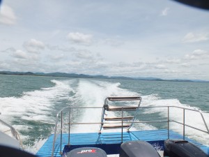 DSCF3316