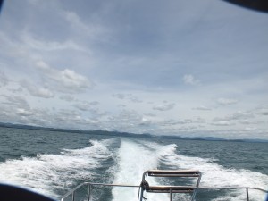 DSCF3319