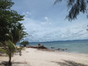 DSCF3403