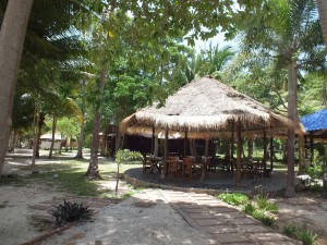 DSCF3434