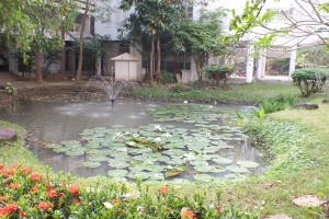 DSCF1923