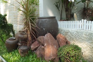 DSCF2329