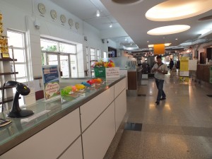 DSCF5582