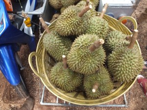 DSCF3001