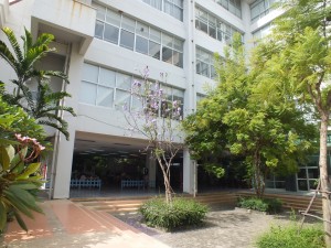 DSCF6360