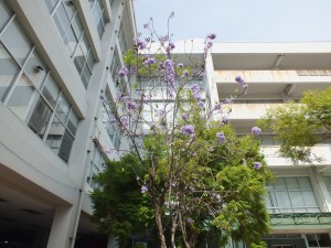 DSCF6369
