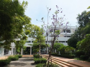 DSCF6371