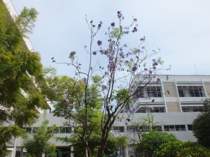 DSCF6373