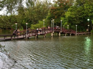 IMG_0491