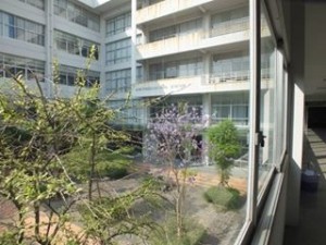 IMG_5393
