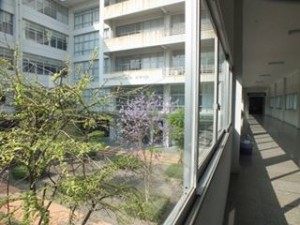 IMG_5394