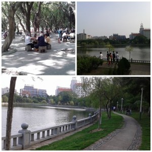 สวนสาธารณะ